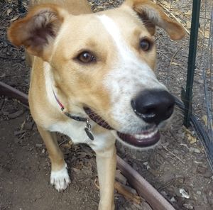 Meet your Posher, Ellie